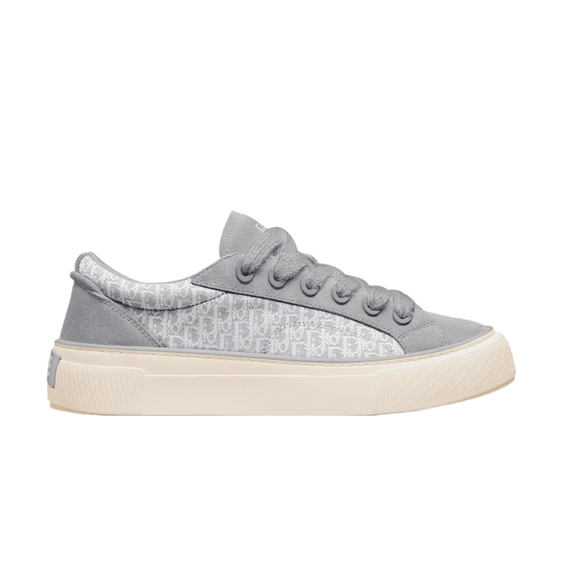 Dior B33 Gray White